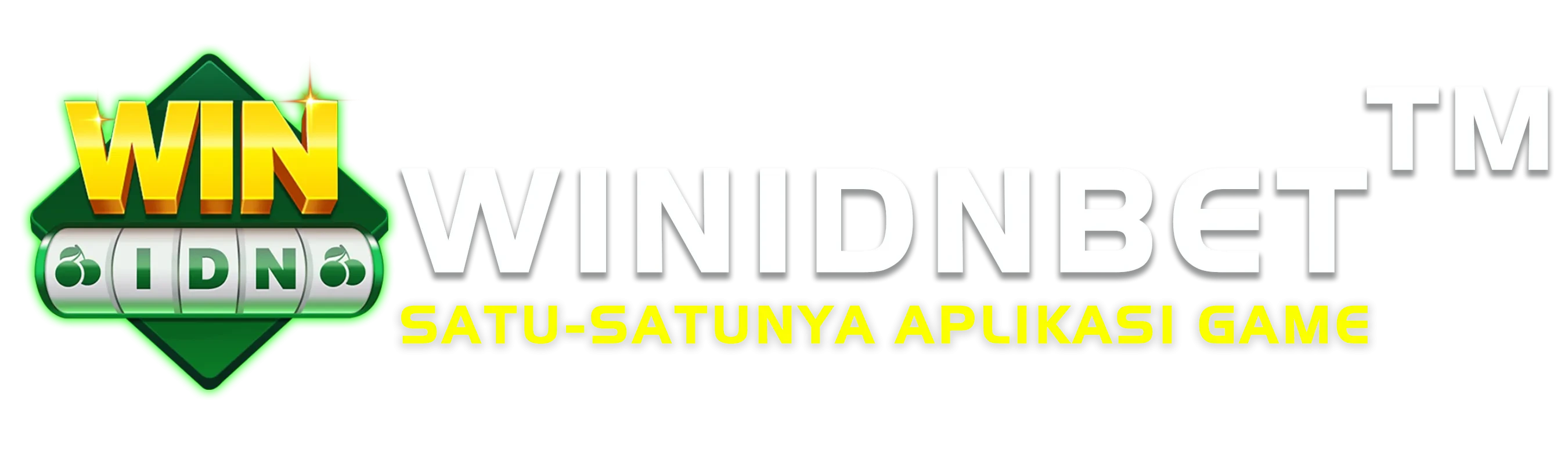 winidn — Logo Resmi